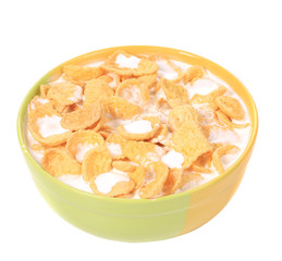 Bowl of cereal with milk