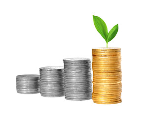Savings, increasing columns of gold and silver coins and green p
