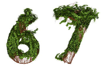 Six and seven  vine numbers.