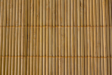 Pattern texture of bamboo row in background