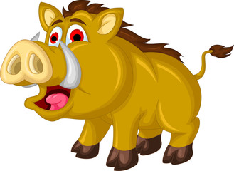 wild boar cartoon
