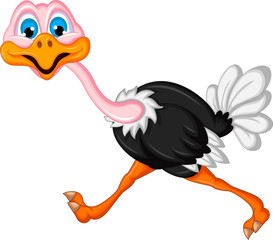 Fototapeta premium ostrich cartoon running