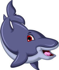 funny Swimming Dolphin