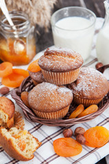 Fresh homemade apricot muffins