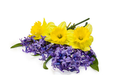 spring flowers