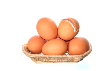 fresh chicken eggs