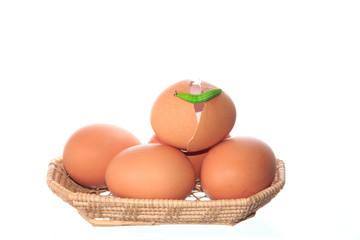 chicken eggs and green worm