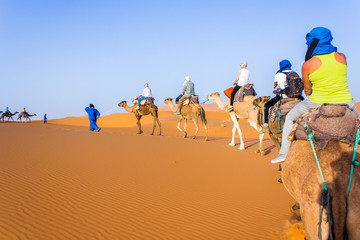 Caravan on Sahara