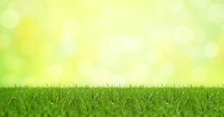 Fr&uuml;hlingshafter Hintergrund mit Gras