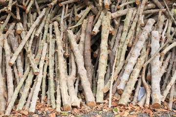 Stacked wooden logs background