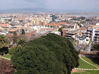 Fototapeta na wymiar Cagliari panoramica