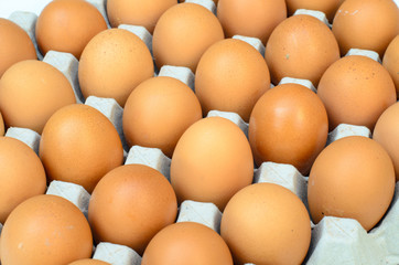 the brown eggs in egg box