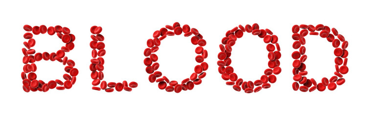 Obraz premium scientific illustration - human blood cells