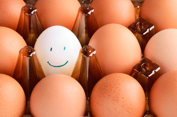 brown  and one white smile eggs in tray horizontal