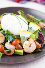 Fresh salad with shrimps, tomatoes, herbs, avocado, poached egg