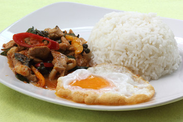 Chicken panang curry with rice