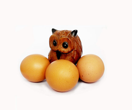 Owl with tripple egg