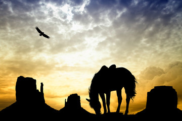 Fototapeta na wymiar Horse in Monument Valley