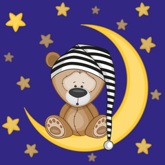 Fototapeta premium Bear on the moon