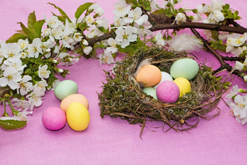 Osternest mit Kirschblüten und bunten Eiern auf rosa Untergrund