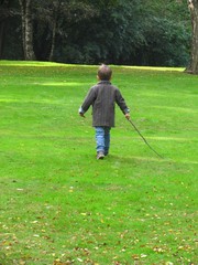 boy discovering the forest