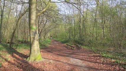Father and Son running in the forest 