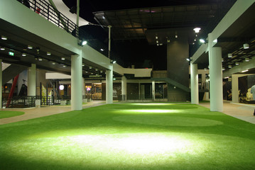 Fototapeta na wymiar indoor green grass
