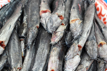 Obraz premium Fresh fish in the market.