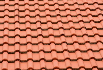 Background from the orange roof tile.