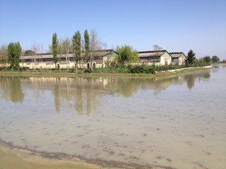 Obraz premium Campagna