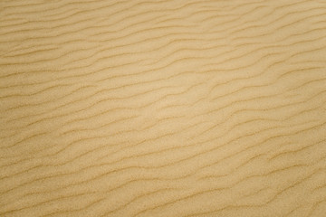 Soft sand textured background. Yellow color.
