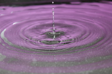 goutte