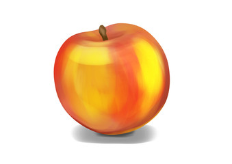 Simple, realistic orange nectarine illustration, front view