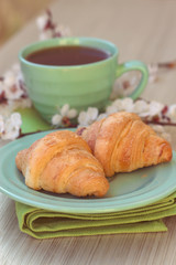 Cup of tea and croissants near blossoming branches