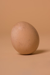Healthy free range brown hens egg