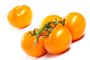 Red Tomatoes on a White Background