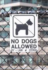No dogs allowed sign