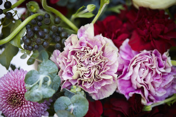 Obraz premium Carnations