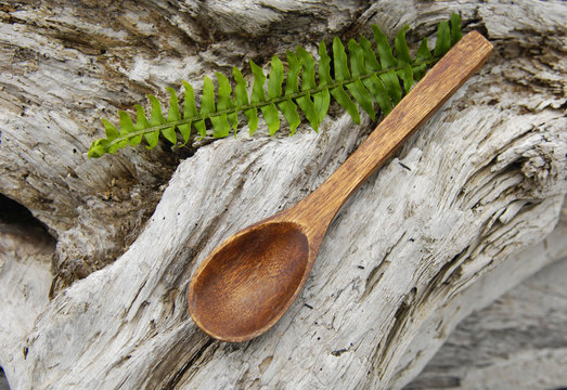green fern with wooden spoon on old wood texture