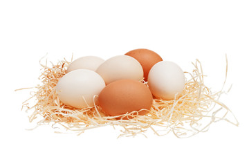 Eggs in straw nest.