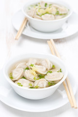 chicken broth with Chinese dumplings, vertical