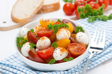 salad with mozzarella, fresh herbs and colorful cherry tomatoes