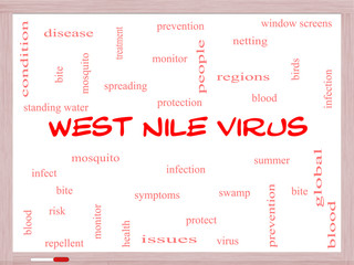 West Nile Virus Word Cloud Concept on a Whiteboard