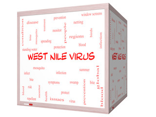 West Nile Virus Word Cloud Concept on a 3D cube Whiteboard