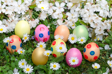 bunte Ostereier mit Gänseblümchen