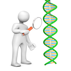 Manikin Loupe DNA