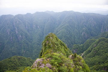 Naklejka premium Unique