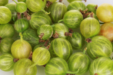 Green gooseberry close-up