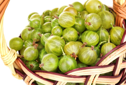 Green gooseberry in basket close-up