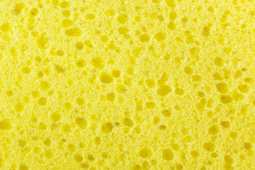 Naklejka premium yellow sponge